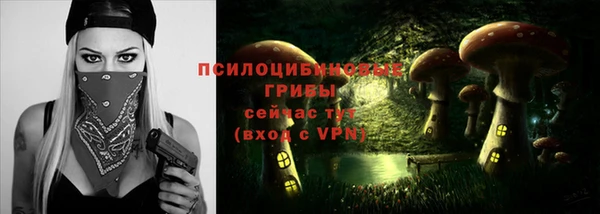героин Алексин