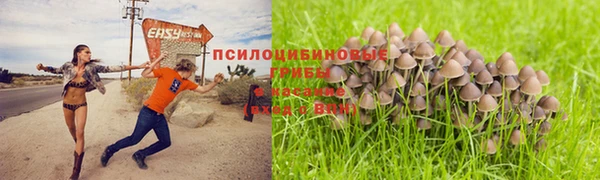 героин Алексин